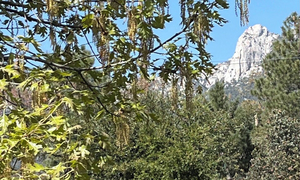 Idyllwild House | 3-Bedrooms in Idyllwild - AC, Jacuzzi, Sauna, Fitness-Game Room, Epic Views