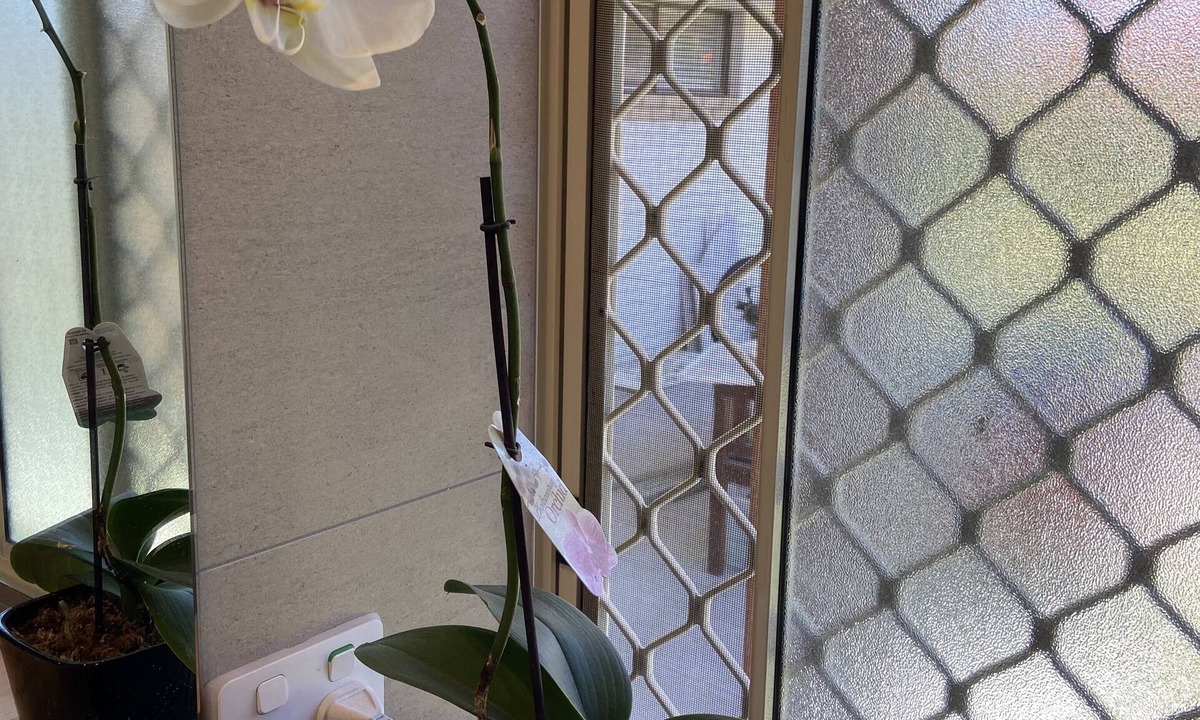 Mermaid Waters Apartment | Adorable-large 1bedroom Guest House