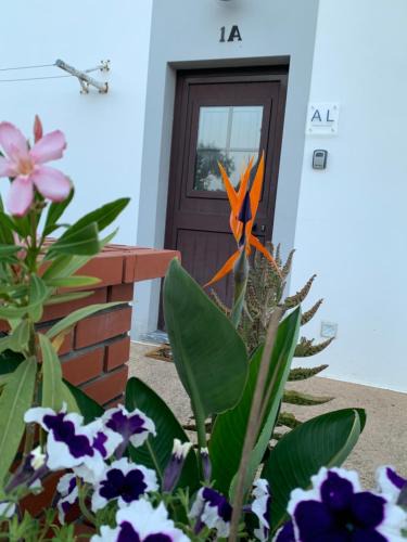 Mertola Apartment | AL Ribeirinho