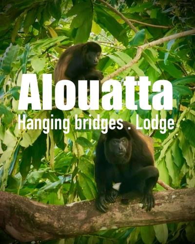 Cahuita Cabin | Alouatta Lodge and Canopy