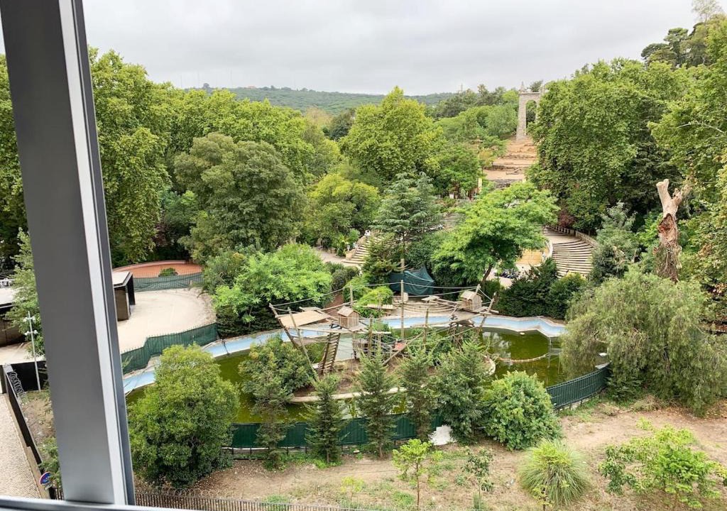 Sao Domingos de Benfica Apartment | Apartamento vista frontal zoo