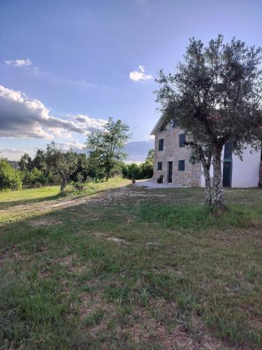 Gouveia House | Arpuro