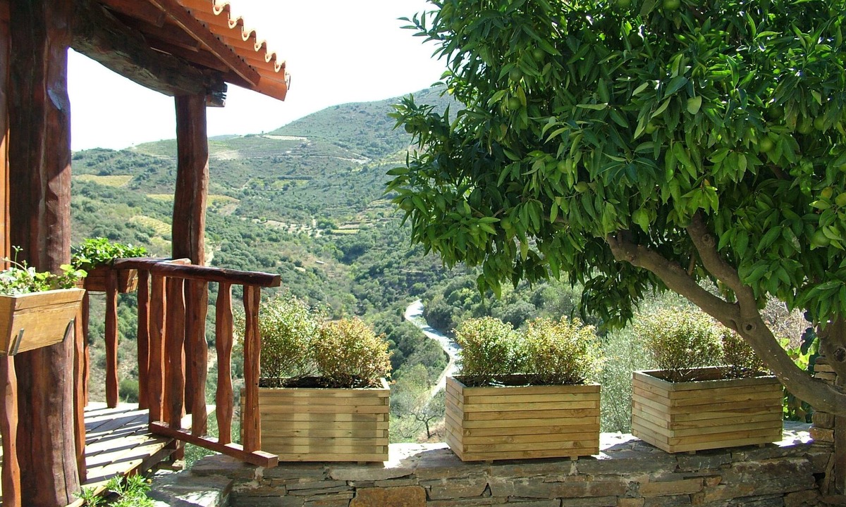 Vila Nova de Foz Coa Villa | Bairro do Casal turismo rural