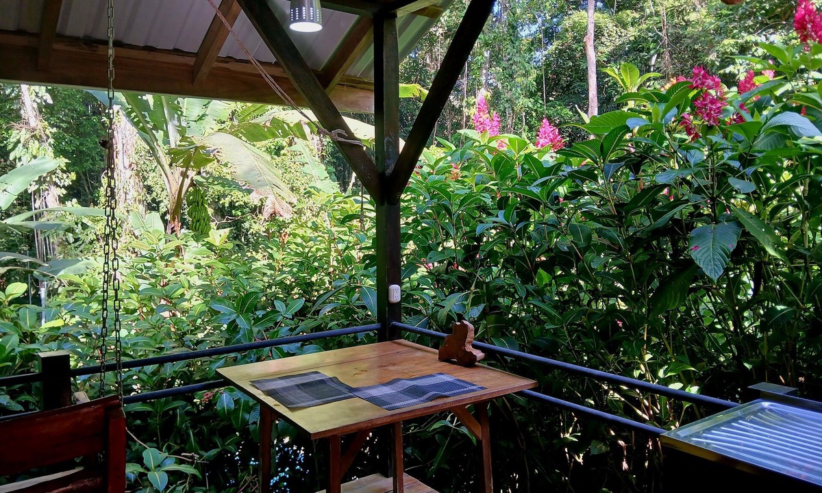 Chiguata Cabin | Cabaña Plumeleteer - Hidden Jungle Cabin & Pool