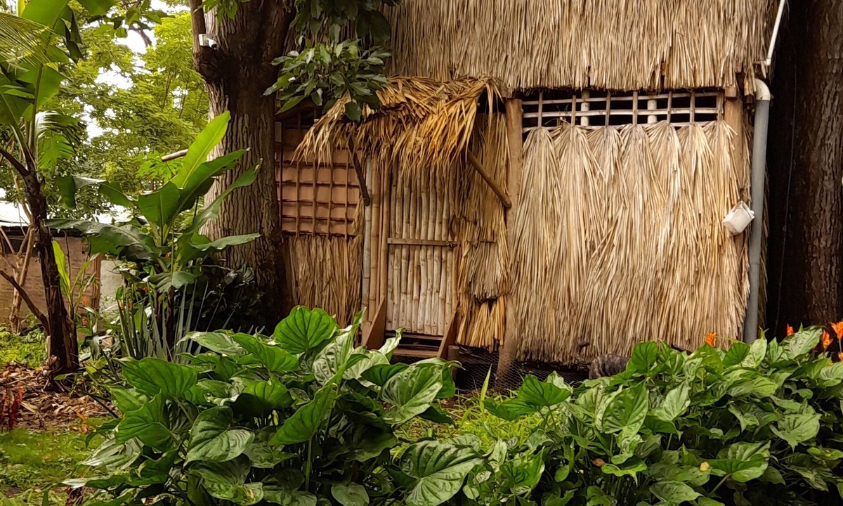 Balgue Cabin | Cabañas El Bamboo