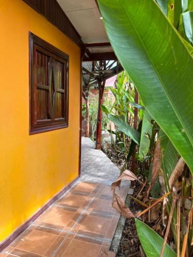 Puerto Viejo de Talamanca Apartment | Cabinas Cable Talamanca