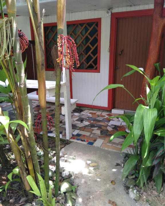 Puerto Viejo de Talamanca Hotel | CabinasTalamanca