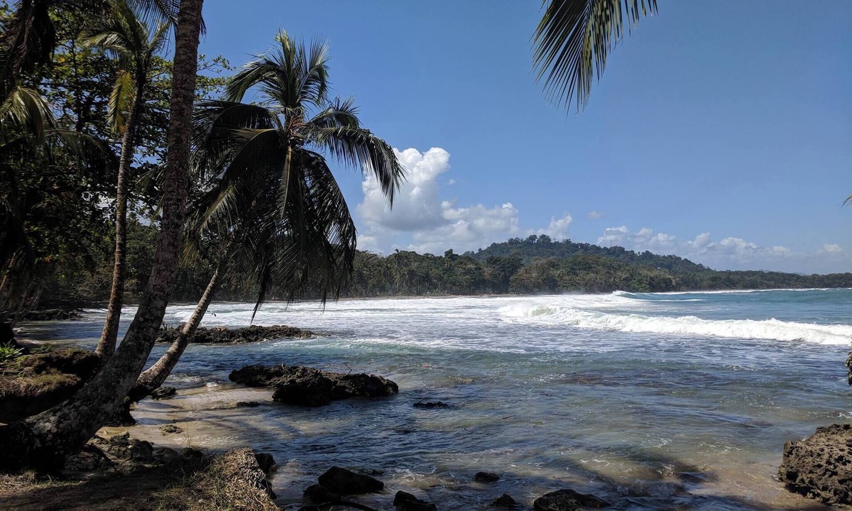 Cocles Apartment | Caribbean Alchemy Cocles Beach