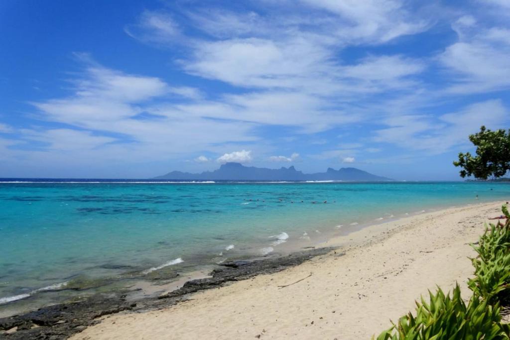 Punaauia Apartment | Carlton Plage PK18 White Sand Beach Pool 2BR2BA fiber Wi-Fi AC