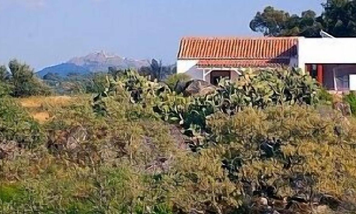Santiago Maior Villa | Casa Amor Perfeito is an unique romantic hide away