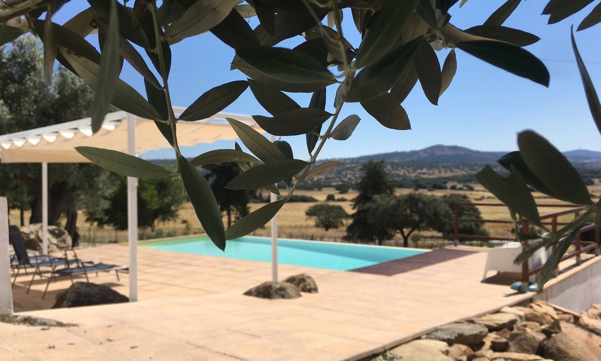 Fortios Cottage | Casa Cobrançosa - Almojanda 3 Olive Tree
