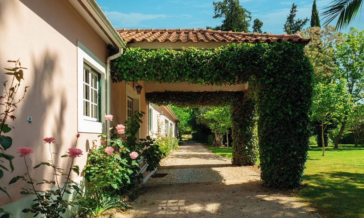 Curvaceiras Grandes House | Casa da Avó Genoveva