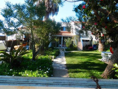 Aljezur House | Casa das Palmeiras