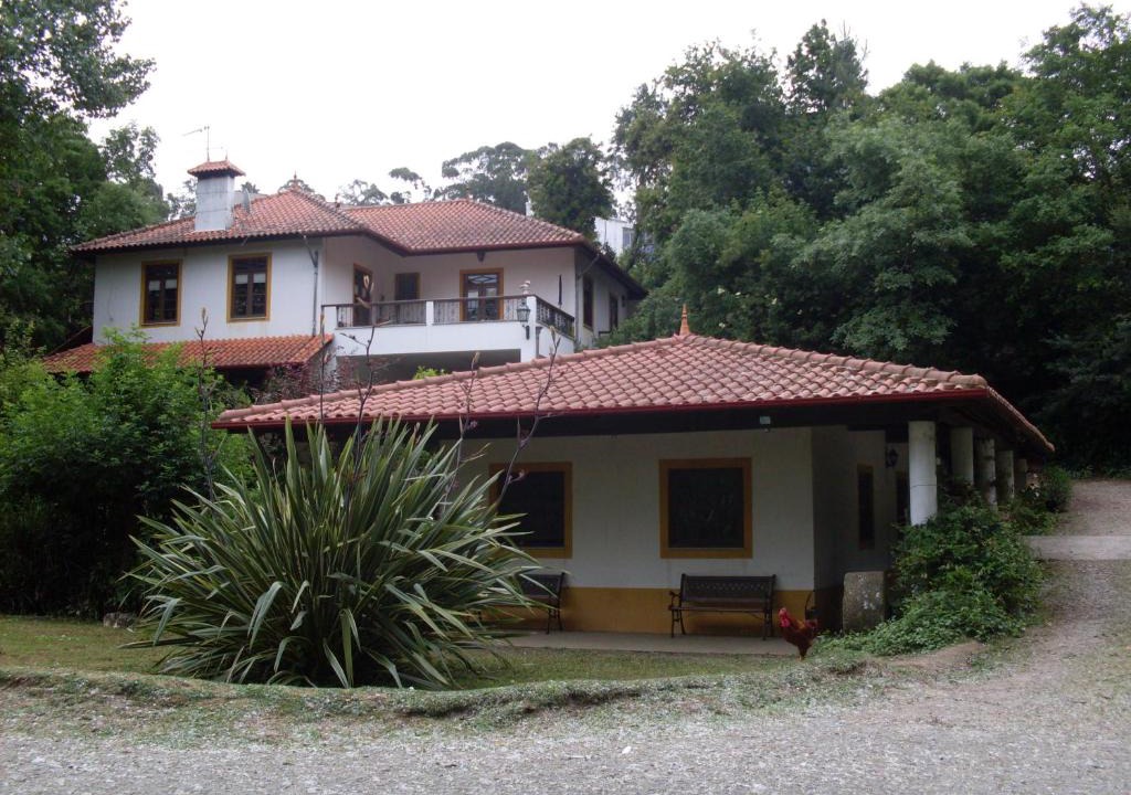 Espinho House | Casa do Moinho Rural campo e praia , 9 pessoas, animais benvindos