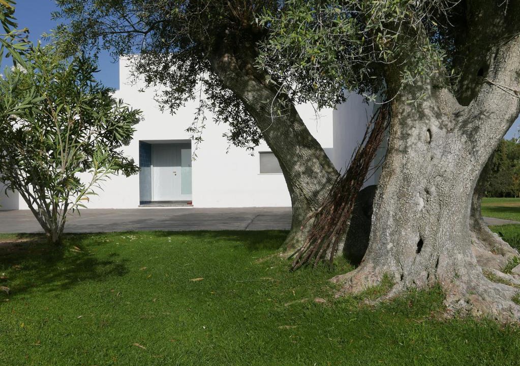 Alvito House | Casa do Vale da Terra Negra