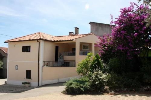 Ansiao House | Casa dos amigos