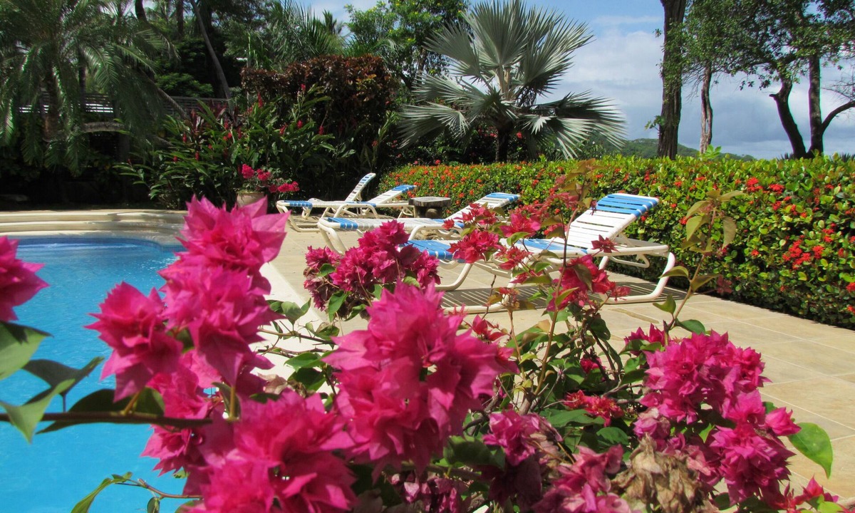 Playa Hermosa House | Casa Luarca. Beach front villa with private pool surrounded by tropical gardens