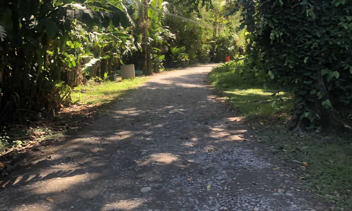 Cahuita House | 🐒CASA MONO VERDE 10 minutes walk to playa blanca, The National Park, Mepe Bus