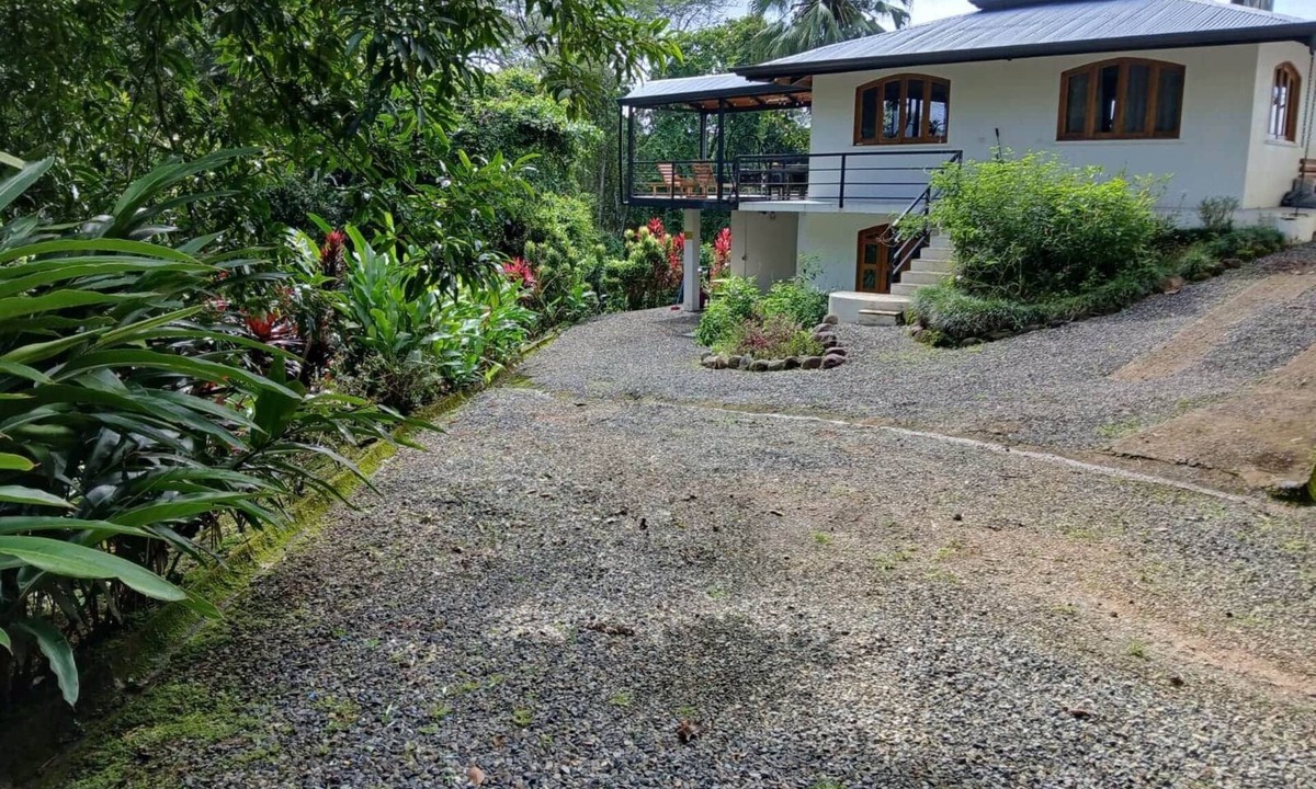 Ballena House | Casa Selvática Wildlife Happiness