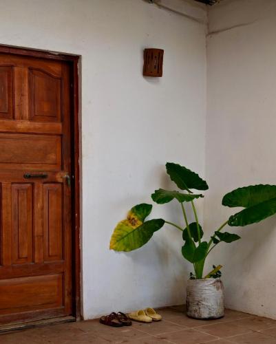 El Gigante House | Casa Sirenas