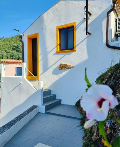 Penacova House | Casinha da Ladeira 3360