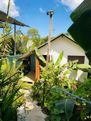 Drake Bay Apartment | Casita Tangara