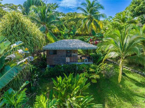 Ciudad Cortes Ski Chalet | Chalet Jardin Tropical