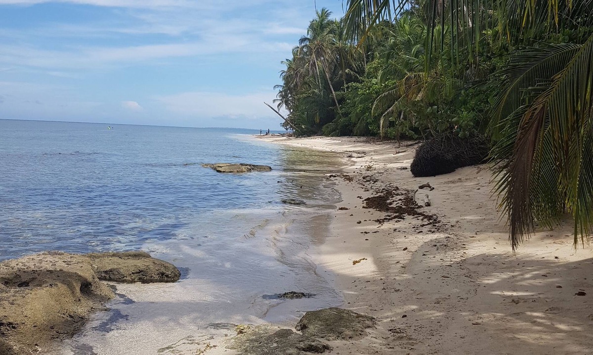 Cahuita Cabin | Ciudad Pérdida Ecolodge