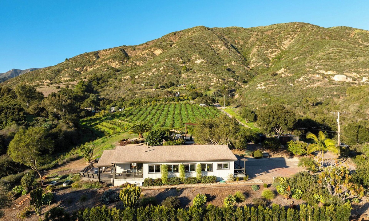 Carpinteria Other | Coastal Zen & Avocado Orchards: A Luxury Wellness tay