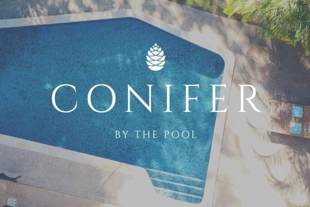 Carrara Apartment | Conifer - Your Private Resort Pool Retreat