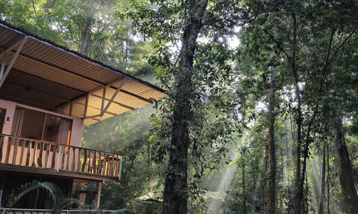Ballena Hotel | Cool Waters Jungle Camping