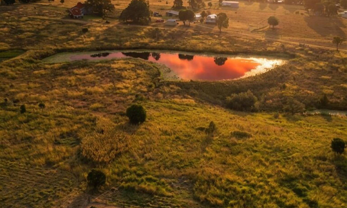 Haigslea RV Rental | Cosy & secluded glamping for Two at Twigley Farm