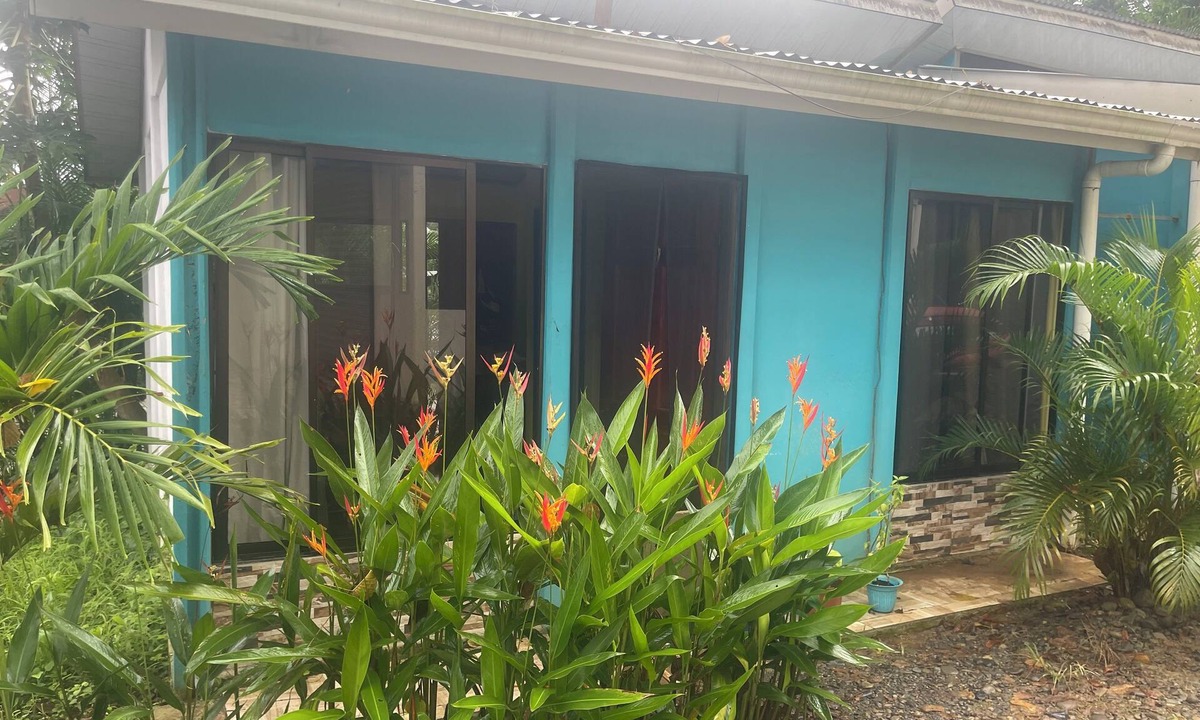 Cocles Apartment | Cozy 1-bedroom apartment in Cocles, walking distance to beach and restaurants