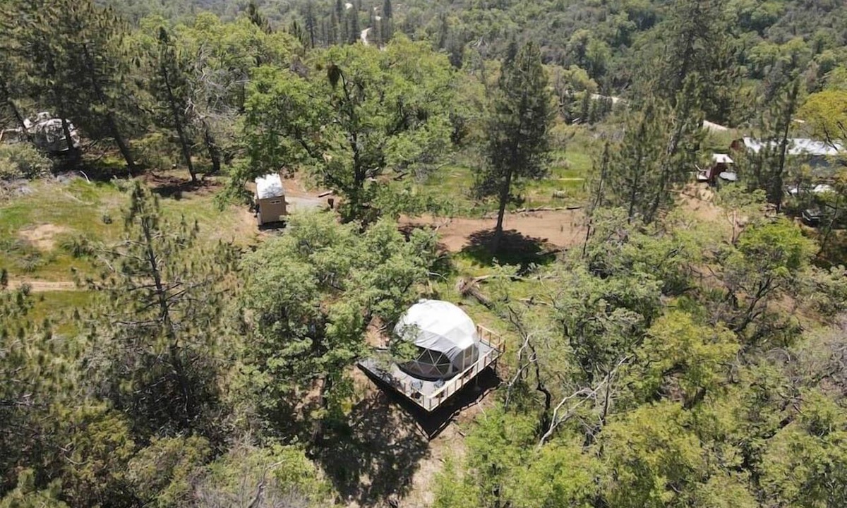 Dunlap Apartment | Dome 3 - Enchanted Forest
