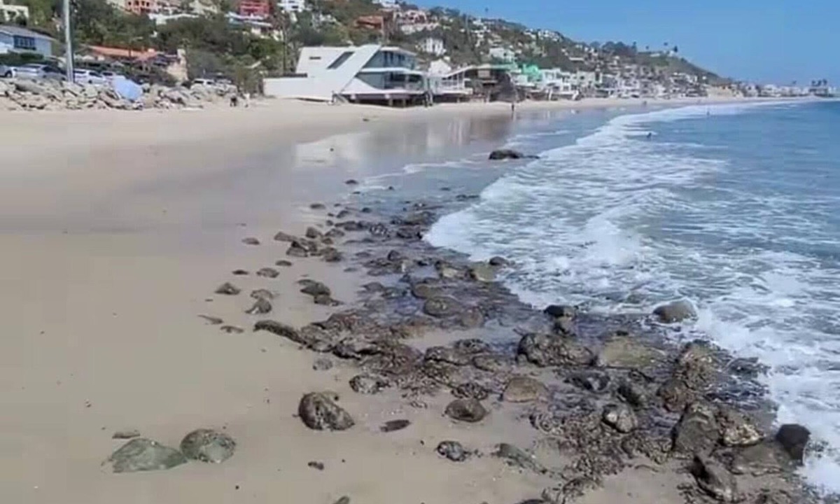 Eastern Malibu Apartment | East Malibu apt, patio + fast Wi‑Fi by the ocean!