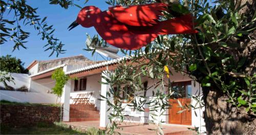 Corte do Gafo de Cima House | Ecoland Casa de Campo