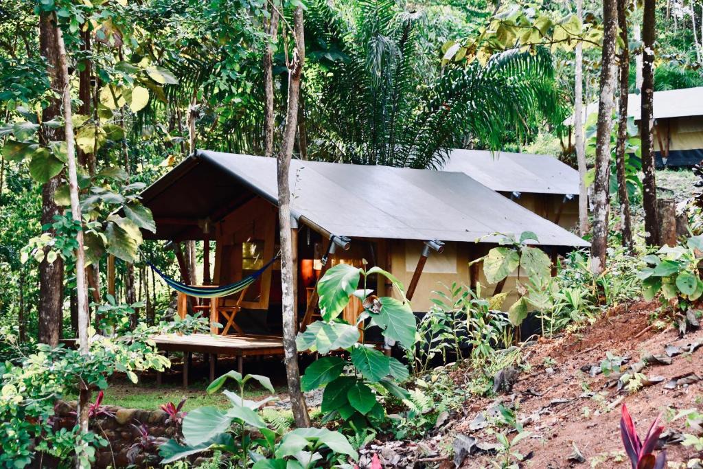 Punta Mala Cabin | El Pulpo Safari Lodge