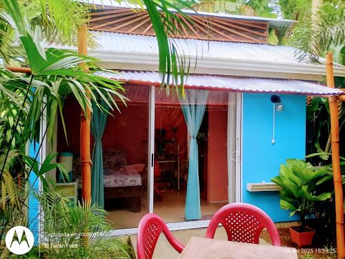 Cocles Apartment | El Tucan Feliz - Boho Jungle Tiny Guest House & Mini Pool Oasis