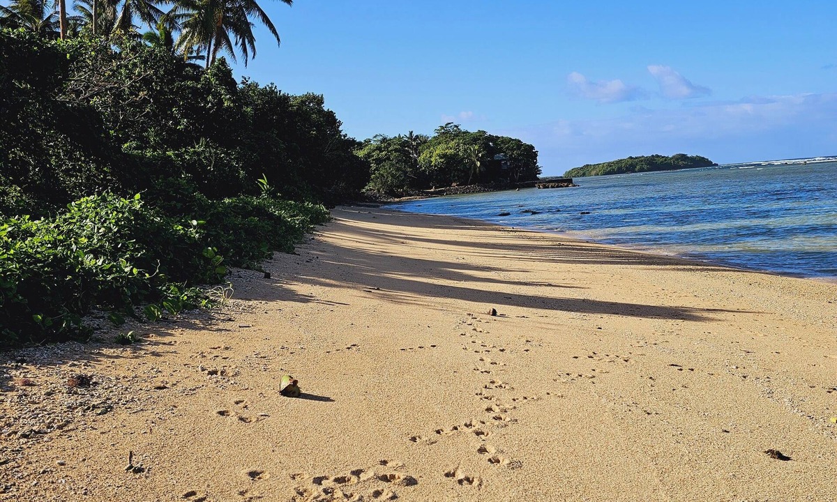Savusavu House | Enjoy a secluded beach escape in this charming cottage.