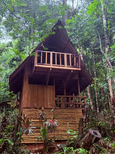 Drake Bay Ski Chalet | Entire Jungle Chalet Playa Ganadito