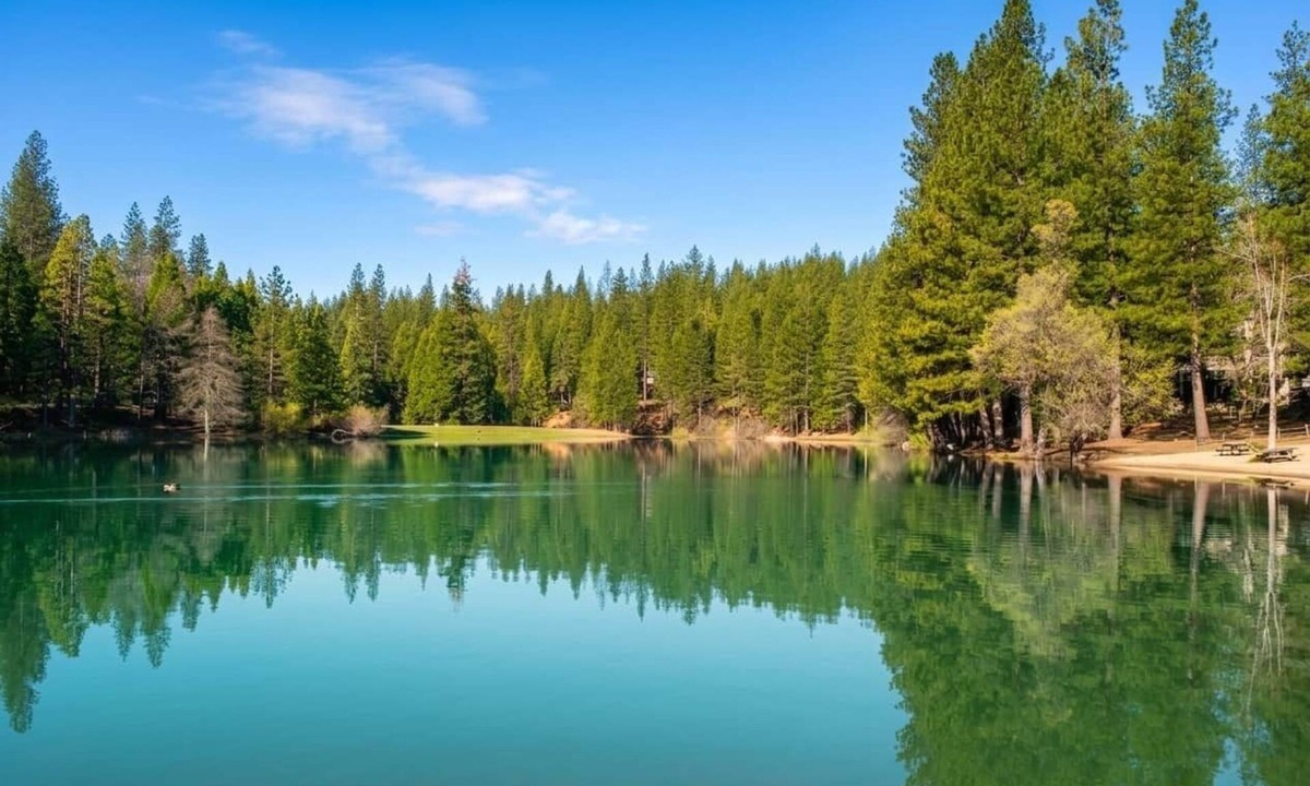 Glencoe House | Family Cabin Near Murphys | Lake, Hiking & Stargazing
