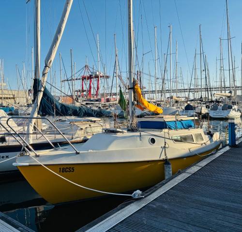 Lisbon Boat Rental | Floating Nights with Janaina