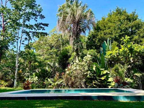 Punta Uva House | Ginger and Cacao, Luxury Villas and Cottage with Pool and Ocean Views