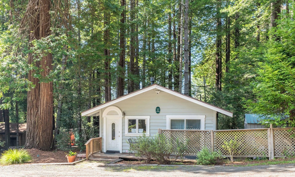 Mendocino Cabin | Green Tree Cottage | 1 BR Vacation Cabin among the coastal redwoods