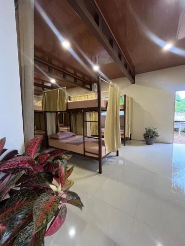 Drake Bay Bed & Breakfast | hostel Mar y Bosque