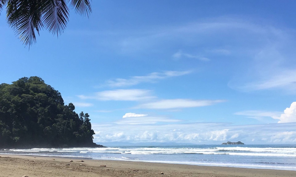 Ballena Cabin | Hotel Samsara