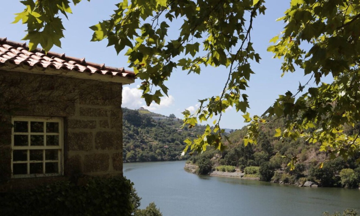 Resende Cottage | House of Figueira Velha | Resende | Douro