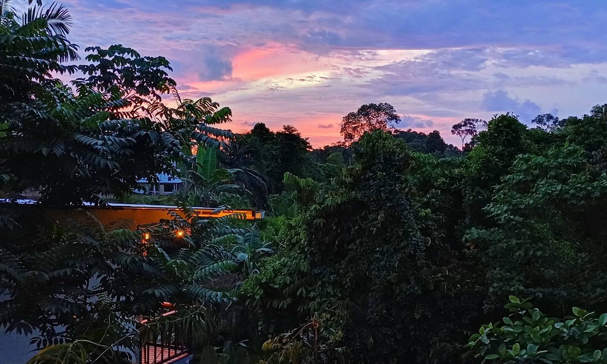 Bouvet Island House | House with beautiful forest view, A/C, balcony and kitchen 5 min from downtown