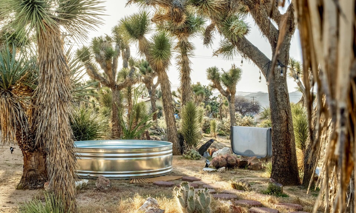 Yucca Valley House | Joshua Gardens