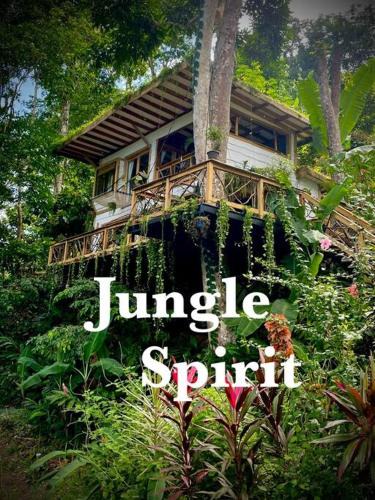 Cahuita House | Jungle Spirit Treehouse